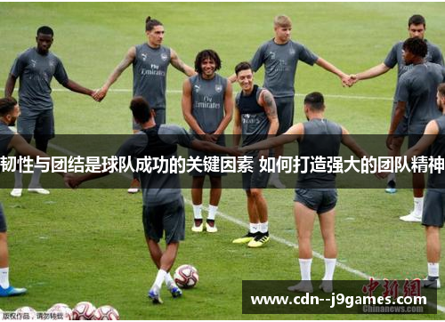 韧性与团结是球队成功的关键因素 如何打造强大的团队精神