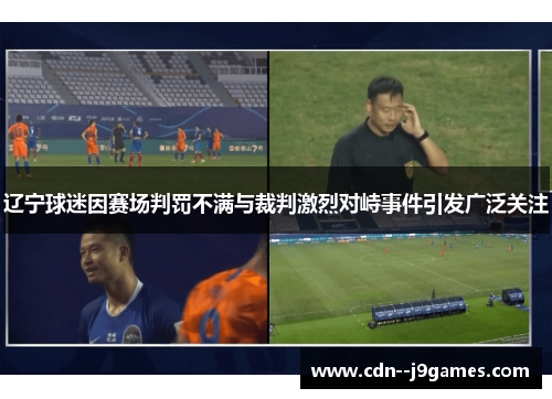 辽宁球迷因赛场判罚不满与裁判激烈对峙事件引发广泛关注