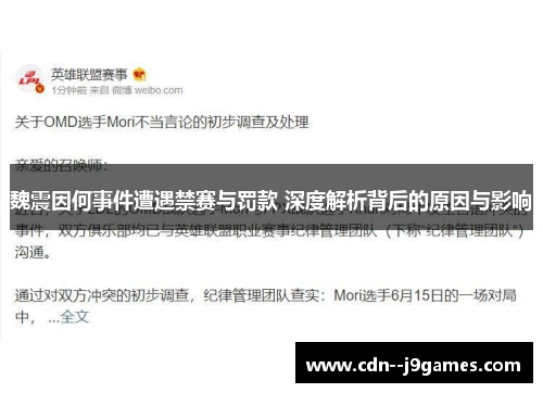 魏震因何事件遭遇禁赛与罚款 深度解析背后的原因与影响