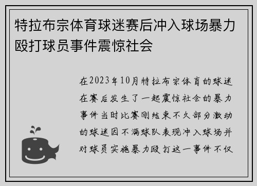 特拉布宗体育球迷赛后冲入球场暴力殴打球员事件震惊社会